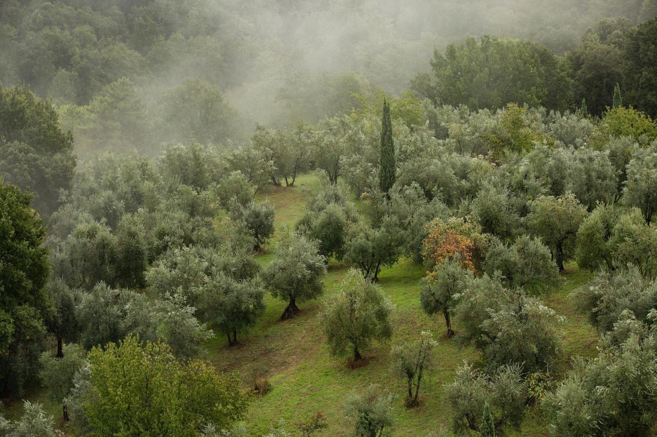 מלון Castello Di Mugnana מראה חיצוני תמונה